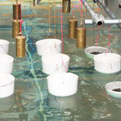 The hydraulics laboratory